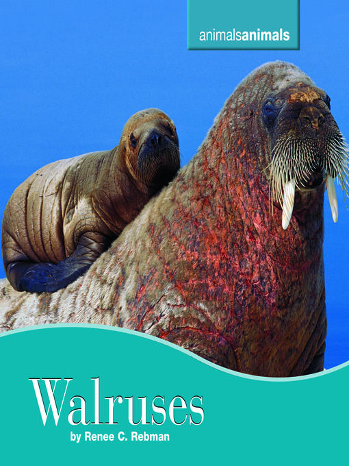 Title details for Walruses by Renee Rebman - Available